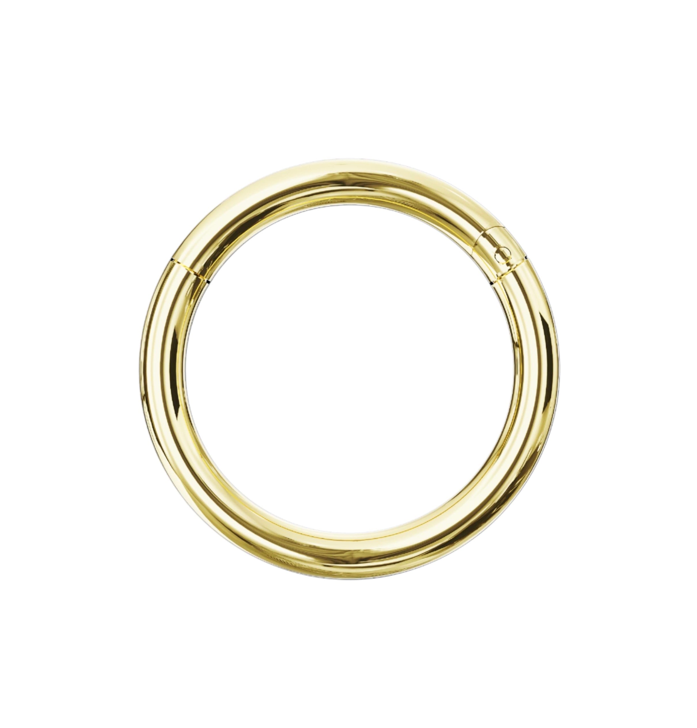 9K Gold Classic Hinged Segment Clicker Ring - Monster Piercing