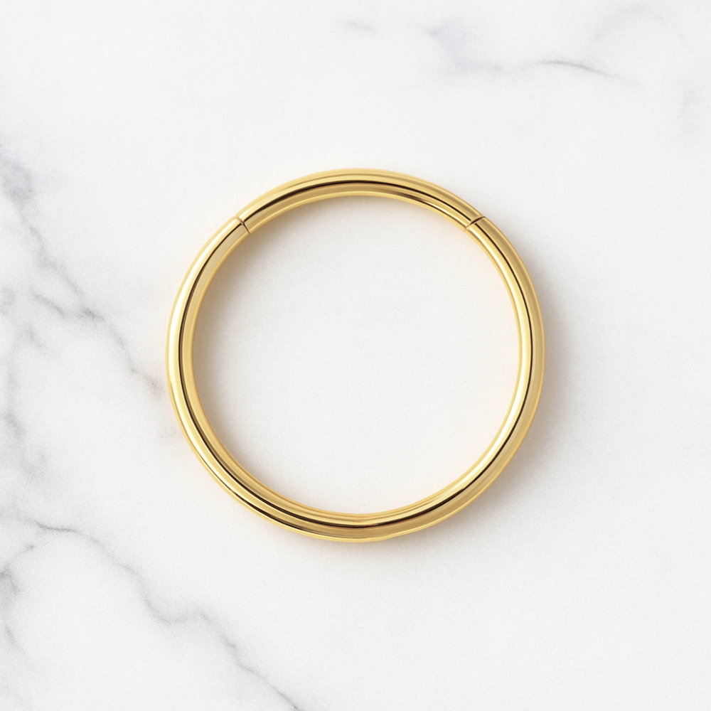 316L Surgical Steel 20G Hinged Segment Clicker Ring - Monster Piercing