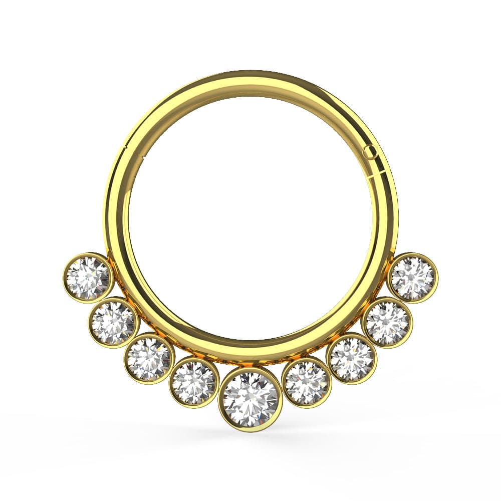316L Surgical Steel and CZ Stones in Bezel Set Hinged Segment Ring - Monster Piercing