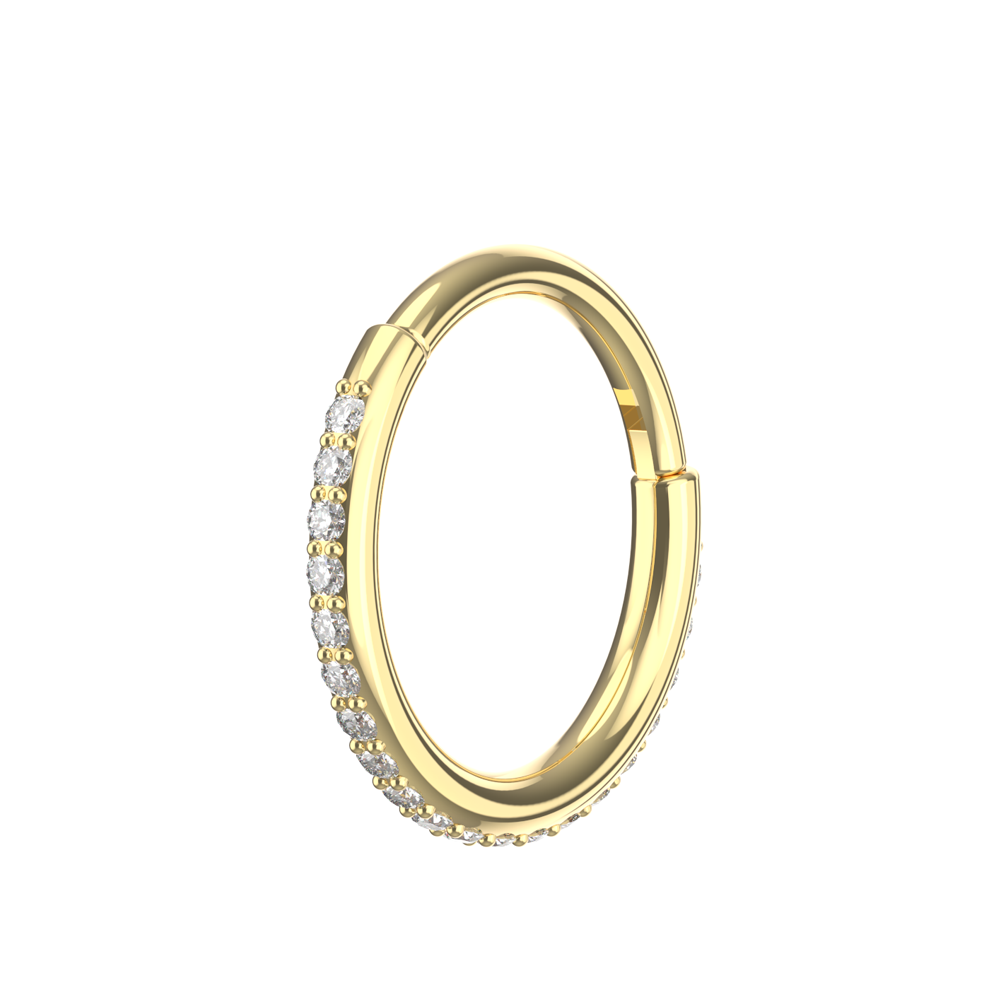 316L Surgical Steel and CZ Studded Hinged Segment Clicker Ring - Monster Piercing