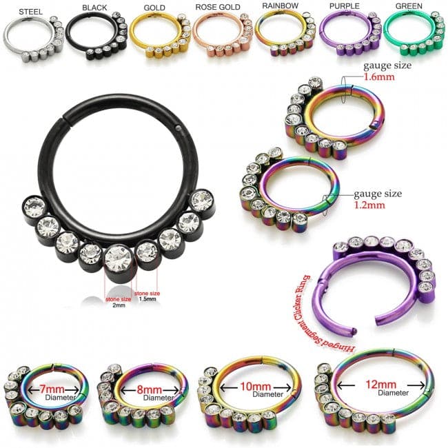 316L Surgical Steel and CZ Stones in Bezel Set Hinged Segment Ring - Monster Piercing
