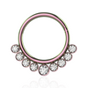 316L Surgical Steel and CZ Stones in Bezel Set Hinged Segment Ring
