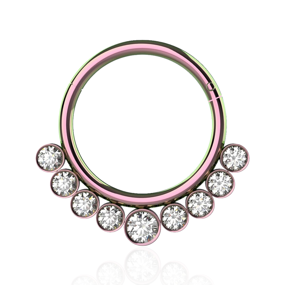 316L Surgical Steel and CZ Stones in Bezel Set Hinged Segment Ring - Monster Piercing