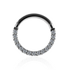 316L Surgical Steel Pave Crystal Hinged Clicker