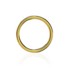 316L Surgical Steel 16G Hinged Segment Clicker Ring