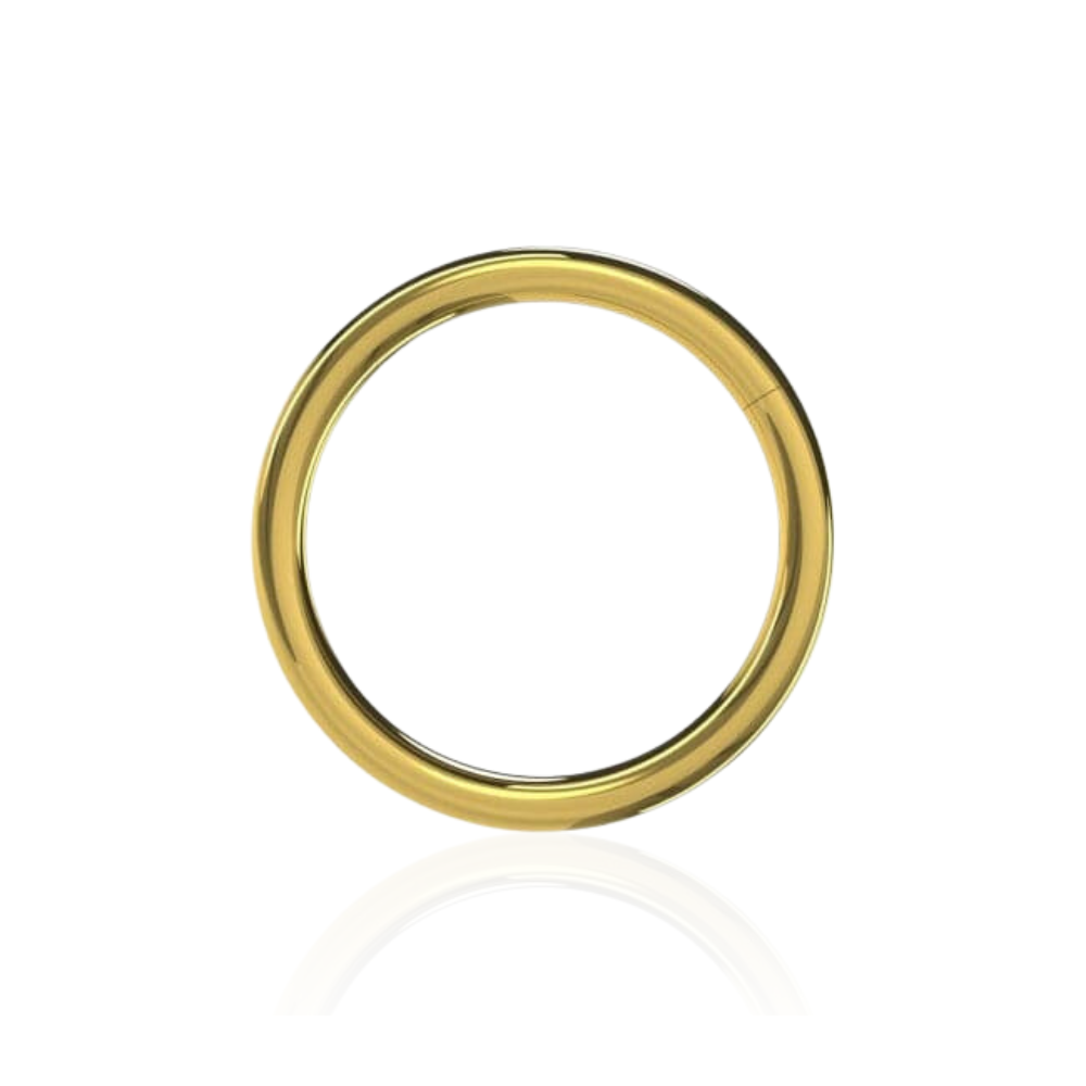 316L Surgical Steel 16G Hinged Segment Clicker Ring - Monster Piercing