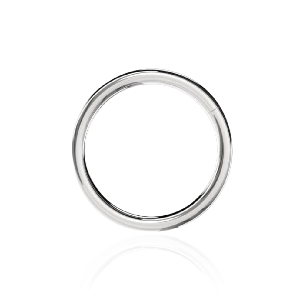 316L Surgical Steel 14G Hinged Segment Clicker Ring - Monster Piercing