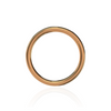 316L Surgical Steel 20G Hinged Segment Clicker Ring