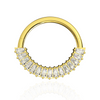 316L Surgical Steel CZ Jewelled 316L Hinged Segment Clicker Ring