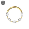 G23 Titanium Cubic Zirconia Marquise Linked Hinged Segment Clicker Ring