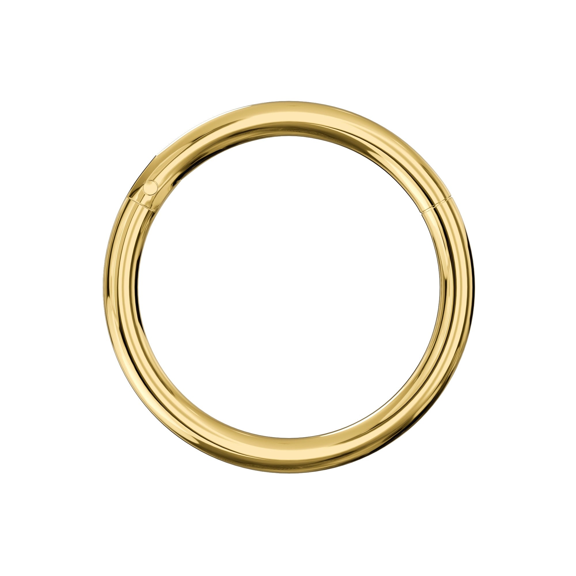 G23 Titanium Hinged Segment Clicker Rings - Monster Piercing