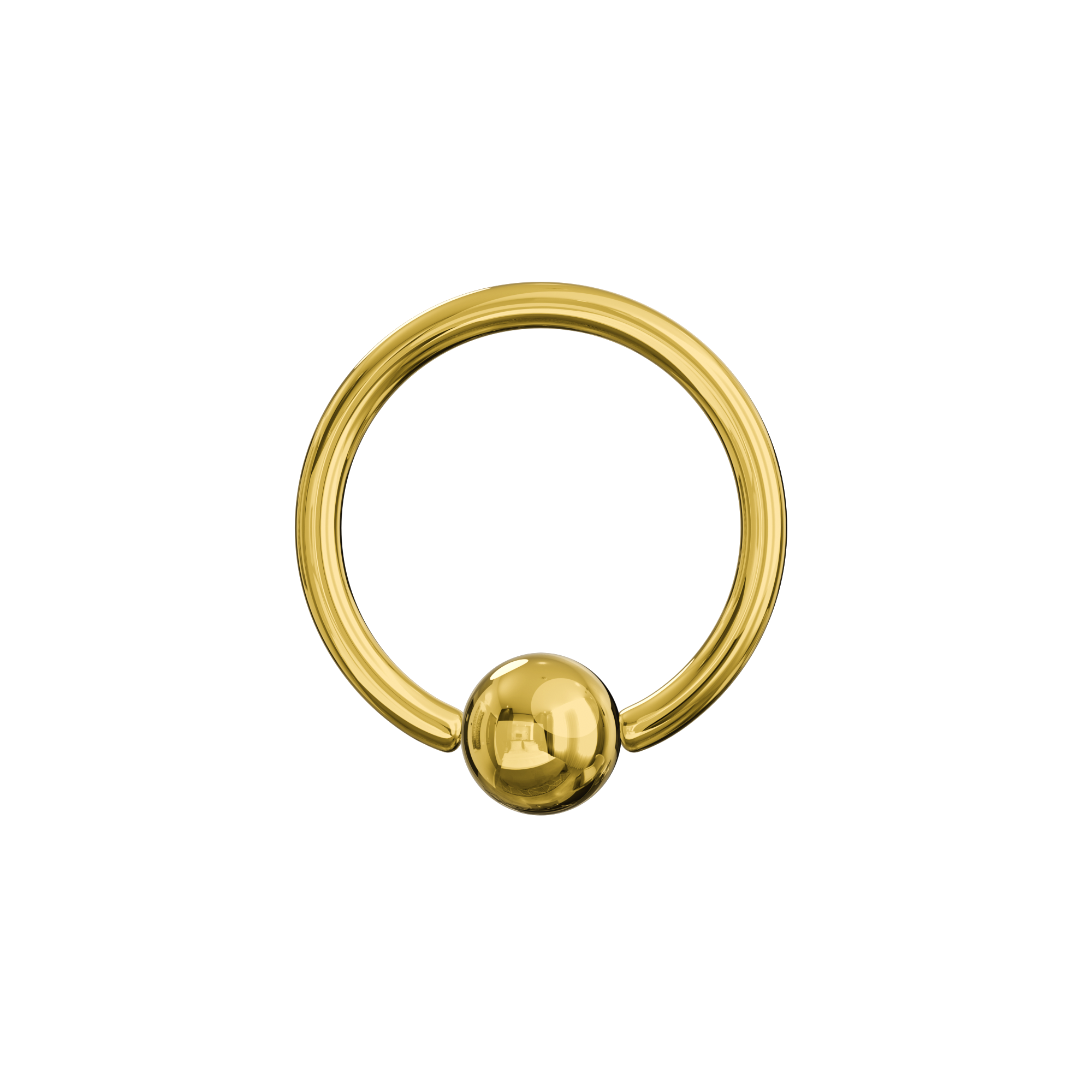 Surgical Steel Anodised BCR Ring - Monster Piercing