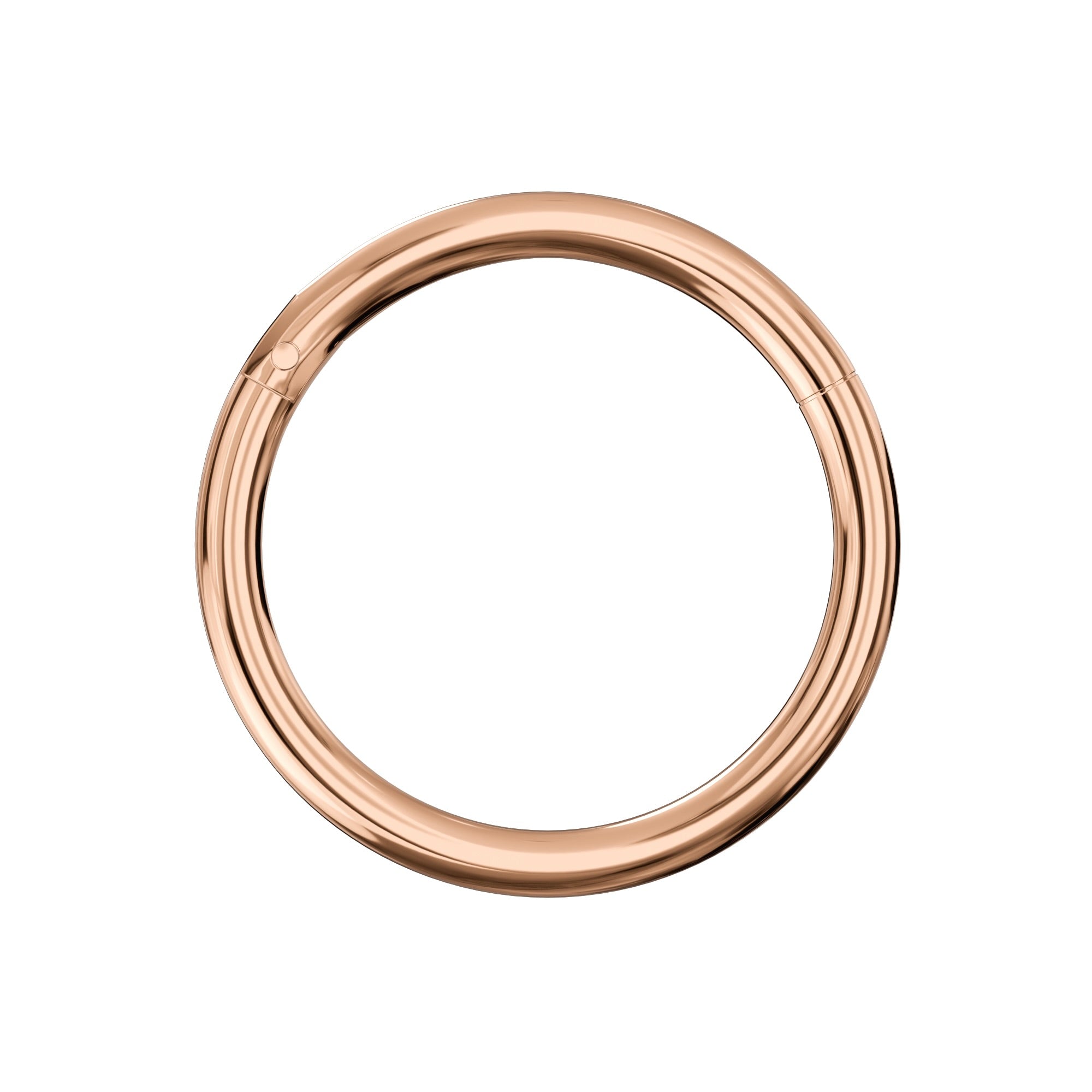 G23 Titanium Hinged Segment Clicker Rings - Monster Piercing