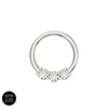 G23 Titanium Tri-Jewelled Hinged Segment Clicker Ring