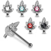 925 Sterling Silver 5pcs CZ Jewelled Marijuana Leaf Ball End Nose stud Box
