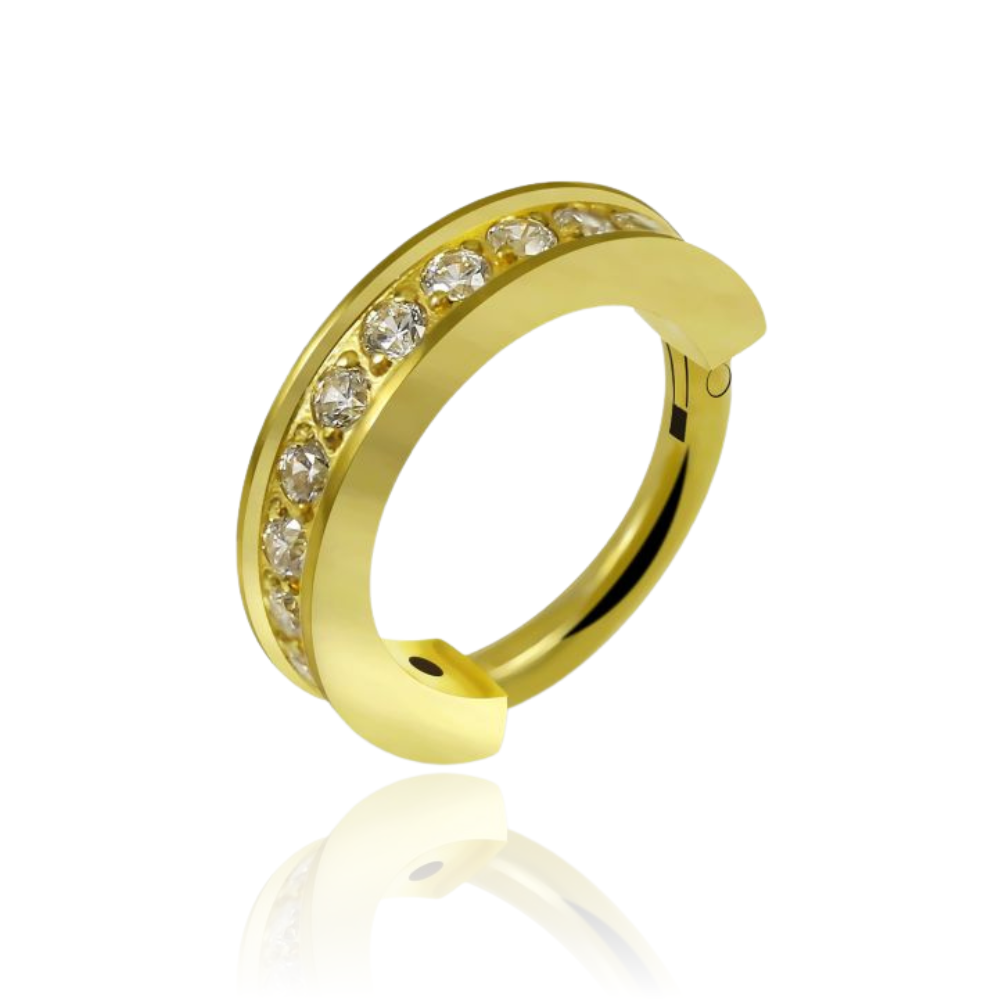 G23 Titanium CZ Jewelled Hinged Clicker Segment Ring - Monster Piercing