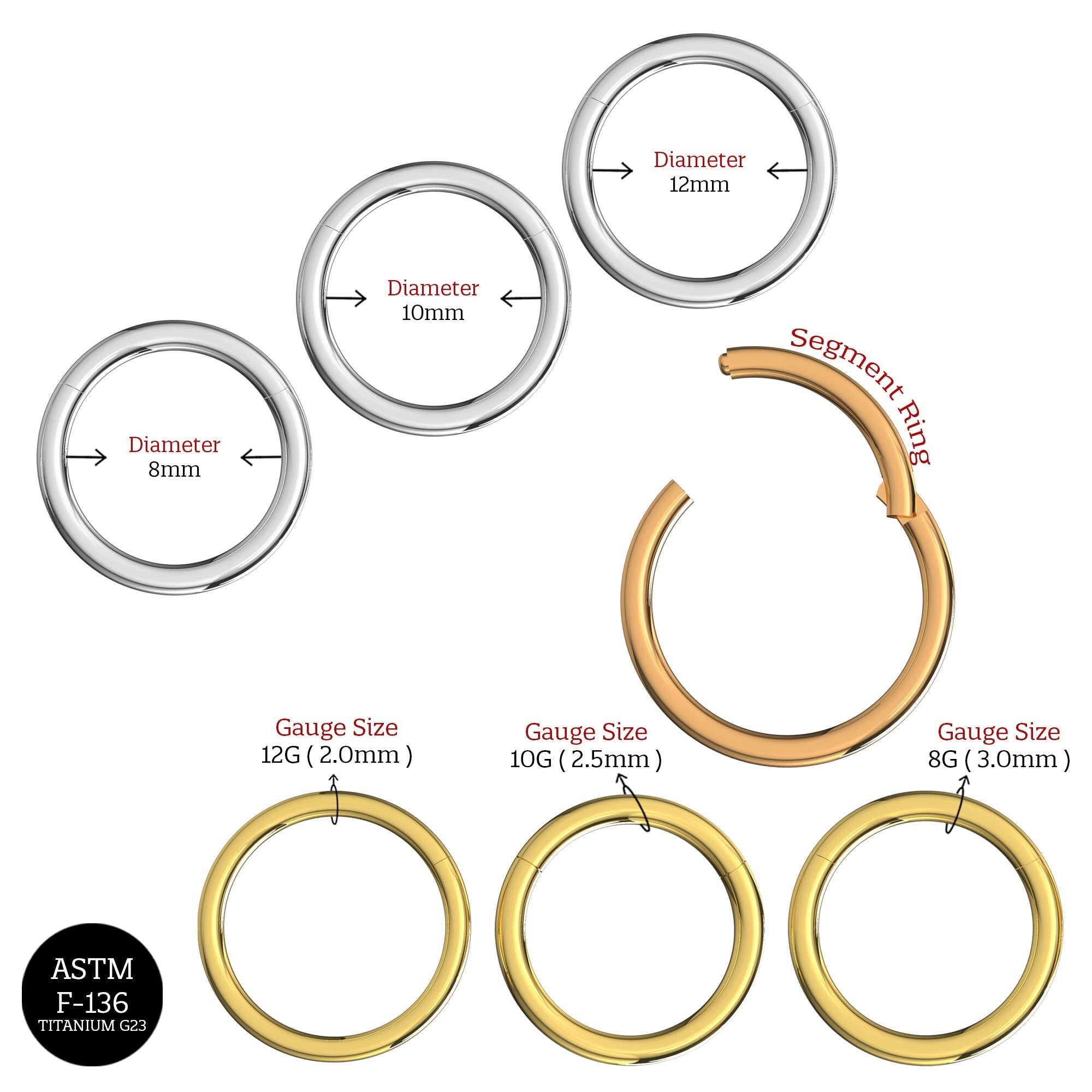 G23 Titanium Hinged Segment Clicker Rings - Monster Piercing