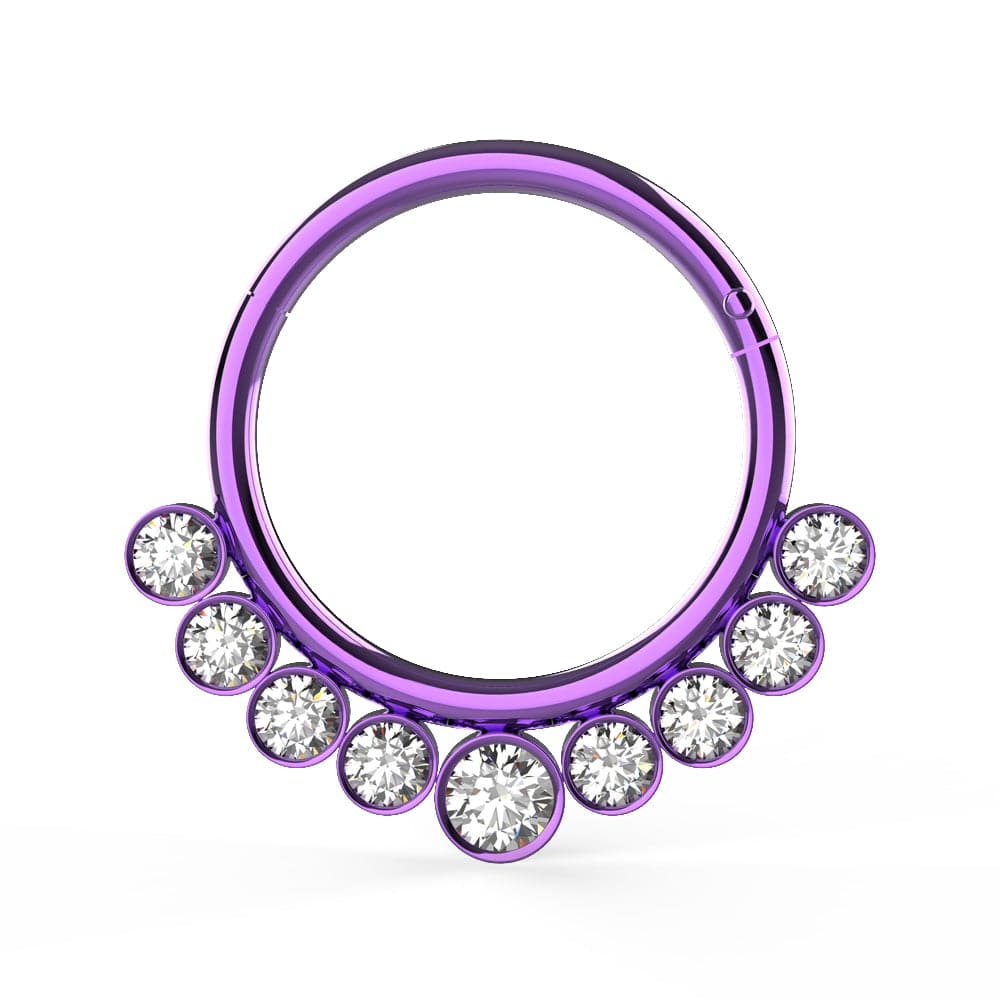 316L Surgical Steel and CZ Stones in Bezel Set Hinged Segment Ring - Monster Piercing