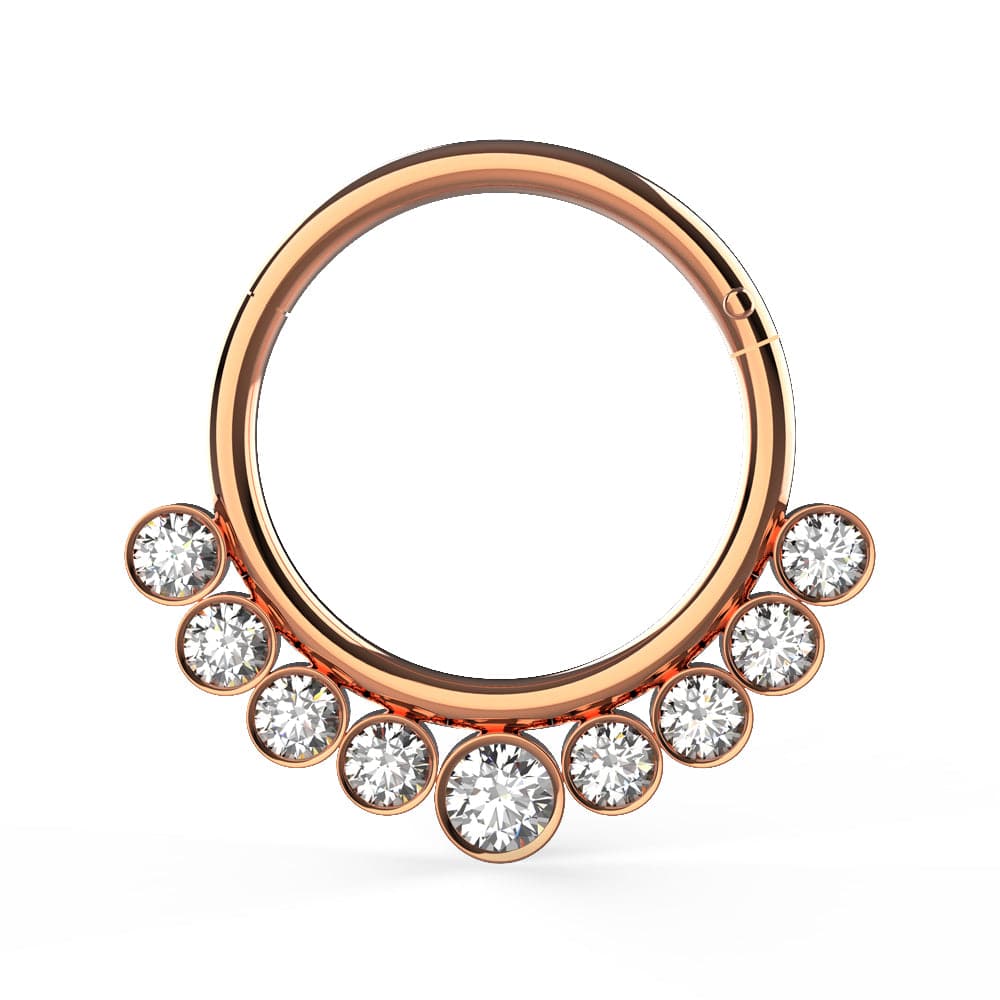 316L Surgical Steel and CZ Stones in Bezel Set Hinged Segment Ring - Monster Piercing