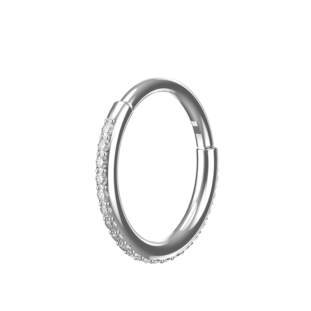 316L Surgical Steel and CZ Studded Hinged Segment Clicker Ring - Monster Piercing