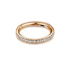 G23 Titanium Micro Setting CZ Stones in Hinged Segment Clicker Ring