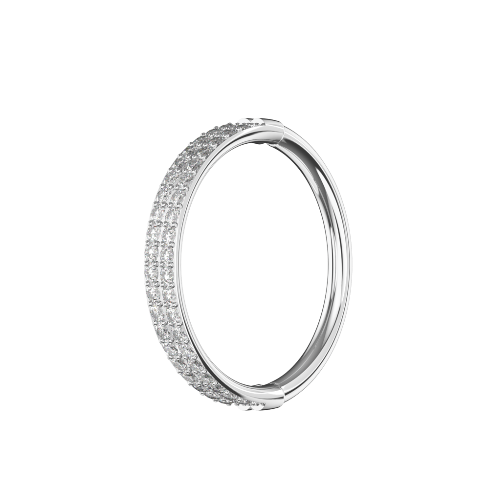 316L Surgical Steel Double Row Crystal Hinged Clicker Segment Ring - Monster Piercing