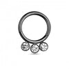 G23 Titanium and CZ Studded Hinged Segment Clicker Ring