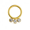 316L Surgical Steel and CZ Studded Hinged Segment Clicker Ring