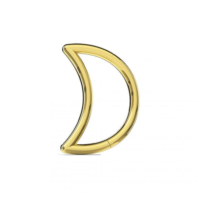 316L Surgical Steel Crescent Cut Segment Clicker Ring - Monster Piercing