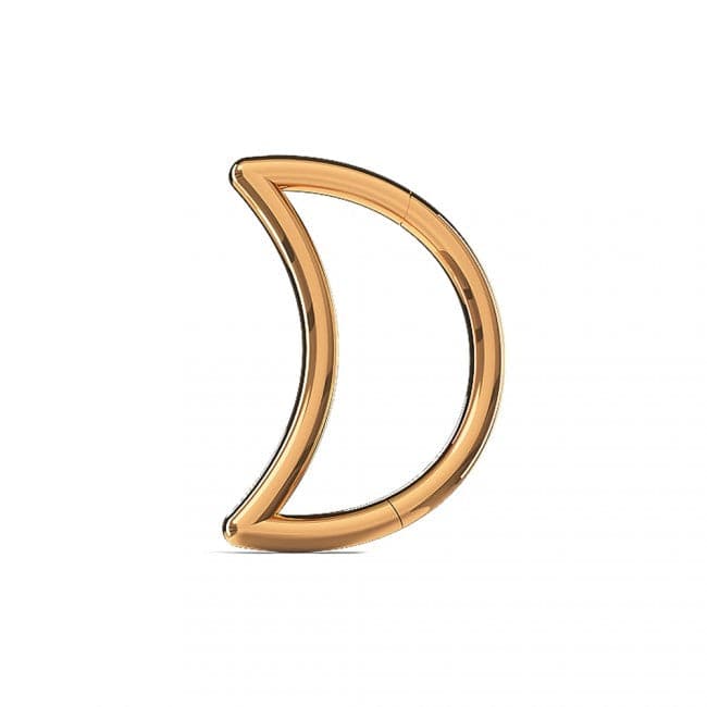 316L Surgical Steel Crescent Cut Segment Clicker Ring - Monster Piercing