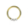 316L Surgical Steel Triple CZ Jewelled Classic Segment Clicker Ring