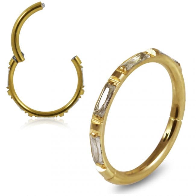 316L Surgical Steel Inlay Crystal Hinged Clicker Segment Ring - Monster Piercing