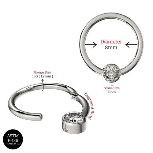 G23 Titanium CZ Jewelled Hinged Segment Clicker Ring - Monster Piercing